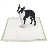 Biodegradable Puppy Pad Size