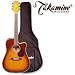1 NEW Takamine EG333C-LTD G-Series Acoustic Guitar with Gigbag - TP4T Preamp Installed