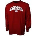 Montana Grizzlies Maroon Big Time Long Sleeve T-shirt