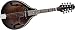 Search: Ibanez M510EDVS A-Style Acoustic-Electric Mandolin