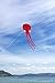 Octopus Kite by Little Rocket- Easy to Fly Kite. Perfect Kite for Kids! Childrens Kite that Flies Easily!