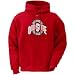 Search : Nike Ohio State Buckeyes Scarlet Classic Logo Hoody Sweatshirt