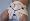 Snappi Diaper Fastener