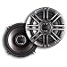 Polk Audio DB521 5.25-Inch Coaxial Speakers (Pair, Silver)
