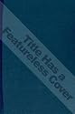 The Development of Large Technical Systems