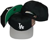 Los Angeles Dodgers Black/Silver Two Tone Plastic Snapback Adjustable Plastic Snap Back Hat / Cap