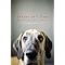 puppy dog universe recomendations
