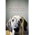 Inside of a Dog: What Dogs See, Smell, and Know