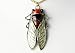 Vintage Inspired Insect Fly Bug Winged Creepy Red Yellow Custom Pendant Necklace