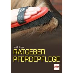Ratgeber Pferdepflege