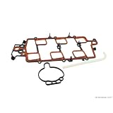 Delphi Fuel Injection Plenum Gasket 