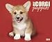 Just Corgi Puppies 2010 Calendar