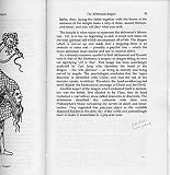 The hill of the dragon : an enquiry into the nature of dragon legends