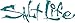 Salt Life Signature Logo Decal Teal Small
