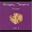 Vision Vol 4