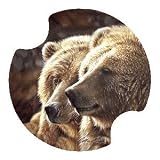 Best Friends Bears Carsters - Coasters for Your Car