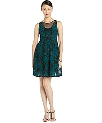 V-neck Natural   Waistline Silk Plunging Neck Pleated Embroidered Illusion  Dress