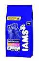 Cat Food - Dry Iams - 3k Iams Multicat Chicken & Salmon