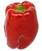 Keystone Giant Sweet Pepper 20 Seeds
