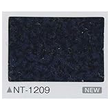 タイルカーペット　フロテックス・ソウル　サンゲツ　ＮＴ－１２０９