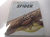 The life cycle of a spider
