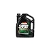 Castrol Syntec 10W40 Full Synthetic Oil 5 Quart Bottle Special Edition