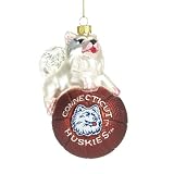 Connecticut Huskies NCAA Glass Mascot Basketball Ornament 5