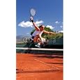 Wallmonkeys Peel Stick Wall Decals