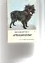 How to Raise and Train an Affenpinscher