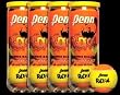 One Dozen PENN Radical Championship Tennis Balls
