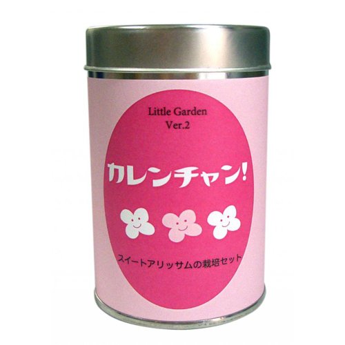スイートアリッサムの栽培セット！リトルガーデン（Little Garden）Ver.2 ロング缶　カレンチャン