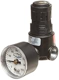Dixon Valve R03-02RG Wilkerson Miniature Regulator with Gauge, 1/4