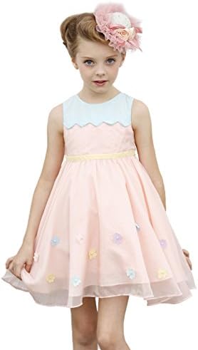 Shamila Girl's Round Neck Contrast Color Mesh Floral Cap Sleeves Dress Pink Size 8