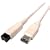 Cables Unlimited 6-Feet 9-Pin to 6-Pin IEEE 1394B Bilingual Firewire 800 Cable (MSC512006)