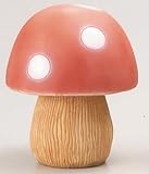 きのこS　レッド