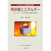 角砂糖とエネルギー―エネルギーと工学の身近な接点を探る (ブックレット群馬大学)