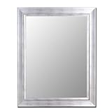 Hitchcock Cameo Vintage Silver/Silver Liner 33 X 45 Decorative Wall Mounted Mirror 200202