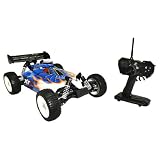 Redcat Racing Shockwave 4WD 1:10 Nitro RTR RC Buggy by Redcat Racing