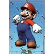 Nintendo (Mario) Video Game Poster Print - 24x36
