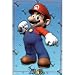 Nintendo (Mario) Video Game Poster Print - 24x36