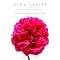 Ultimate Reference Guide to Growing Beautiful Roses