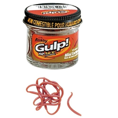 Berkley - Gulp 1