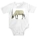 Onesie with Arabian, endangered, captivity, mammal, African, oryxe, zoo, oryx, antelope, animal, species, horns