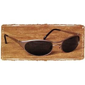 Joyride Sunglasses Silver