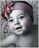 Z: Lavender Daisy Headband