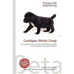 Cardigan Welsh Corgi