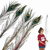 Peacock Juggling Feathers (SET)