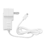 White Rapid Home Wall Travel Charger with IC Chip for Amazon Kindle 2 Wireless Reading Device , Barnes & Noble (Nook) + Fishbone Keychain