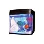 Satzuma USB Fish Tank