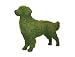 golden_retriever8golden retriever - 30 High Topiary Golden Retriever filled with Sphagnum